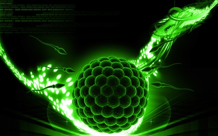 IVF on the rise